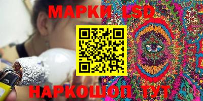 индика Кандалакша