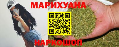 индика Кандалакша