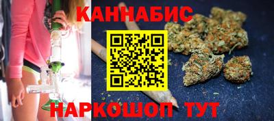 индика Кандалакша