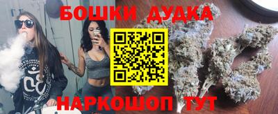 индика Кандалакша