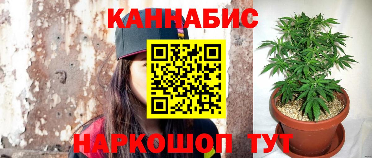 Бошки Шишки Amnesia  Бошки Шишки AK-47  Пенза  Вход с VPN 
